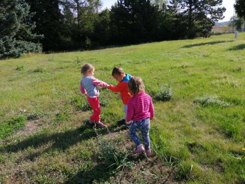 IMG 20200908 095154